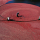 cranberry harvest in flooded bog